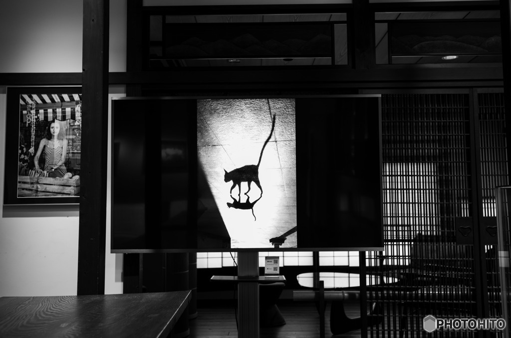 カメラ屋さんの2階