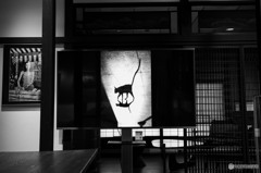 カメラ屋さんの2階