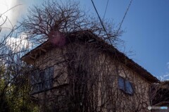 遺跡化した家