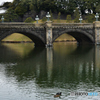 二重橋