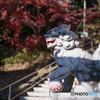 赤城神社