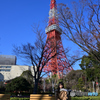 東京タワー3
