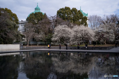 法隆寺宝物館からの眺め