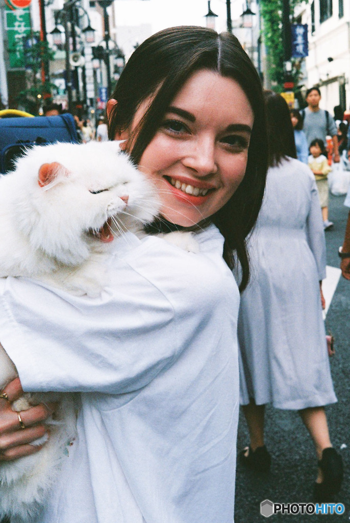 化けていないけれど