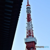 境内からタワーを望む