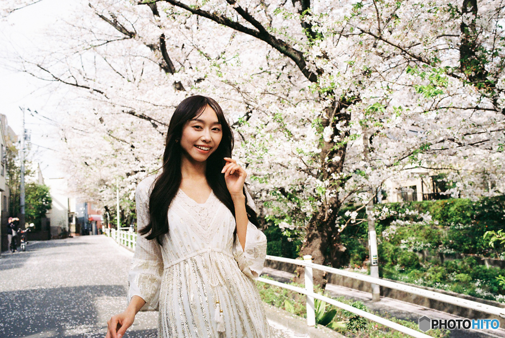 桜坂通り