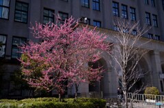 財務省前