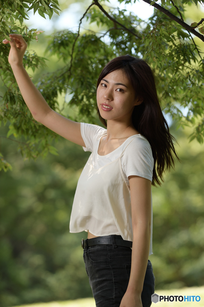 木陰2