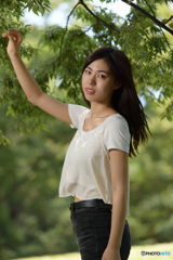 木陰2
