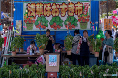 四万六千日