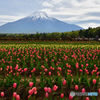 花の都