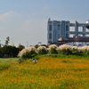 フジテレビ本社ビル