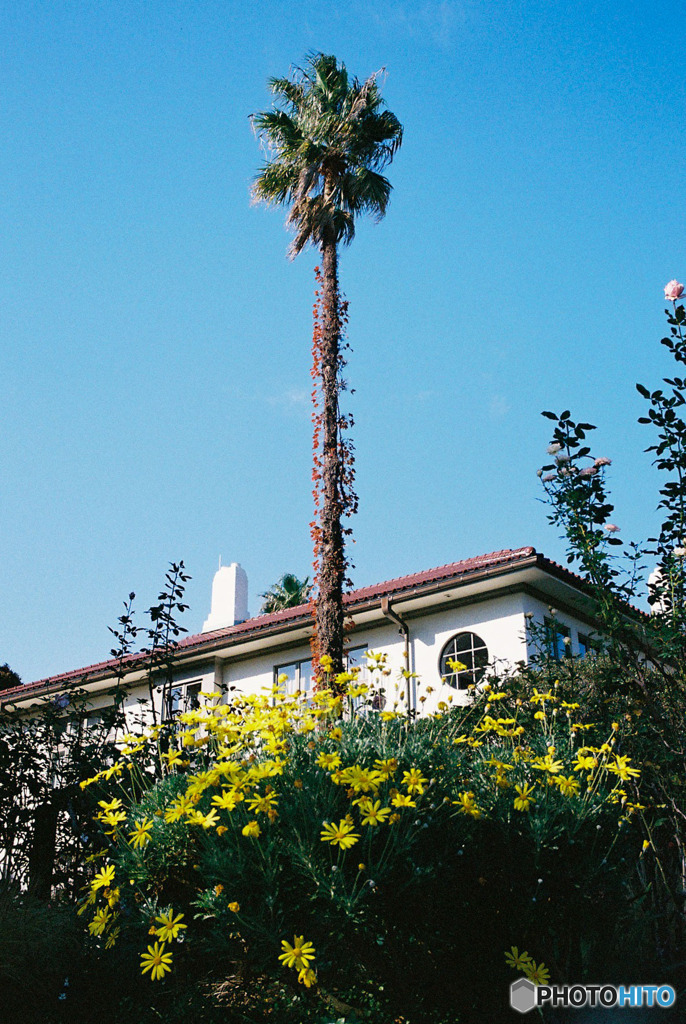 港の見える丘公園3