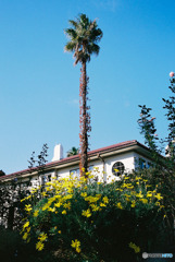 港の見える丘公園3