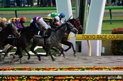 春の東京競馬４