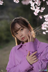燦めく桜4