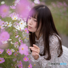 秋桜3
