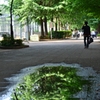 雨あがり