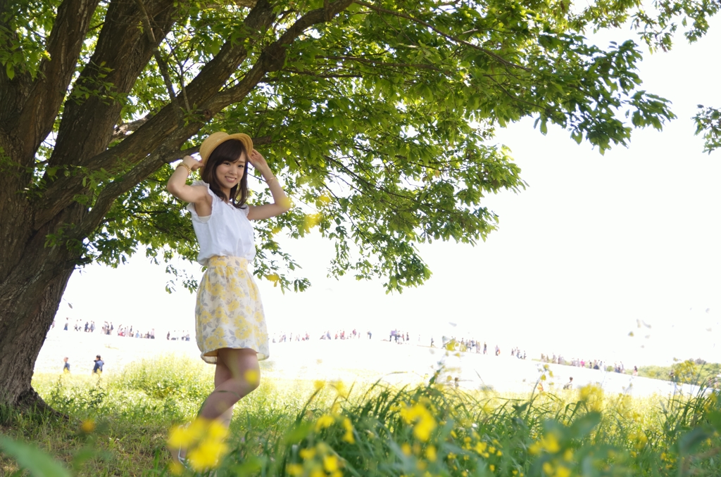 爽やかな風1