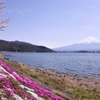 残雪と桜と