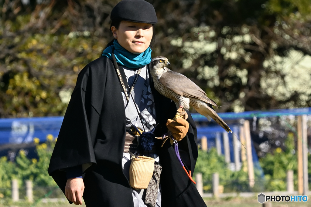 鷹師