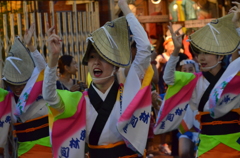 阿波おどり5
