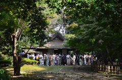 お茶会（早草櫨）