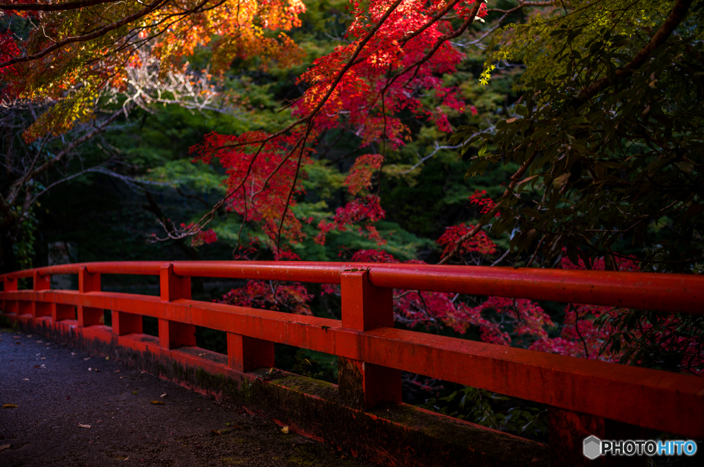 指月橋