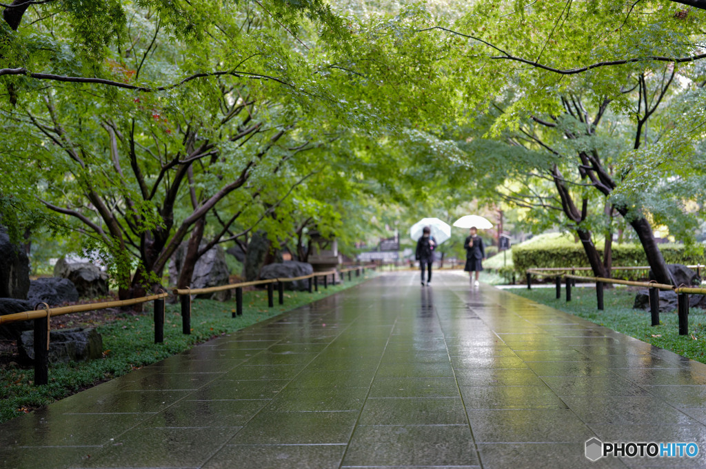 紅葉を期待して・・・
