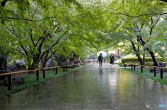 紅葉を期待して・・・