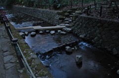 公園橋