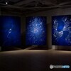 海と記号