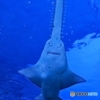 怖いのに可愛い顔してる～