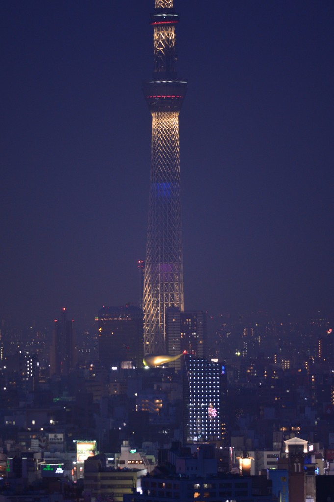 雲上の塔