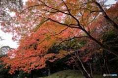 通天橋は工事中・・・