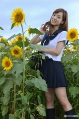 丈比べ