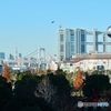 TOKYO！