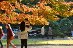 逆光がきれい～