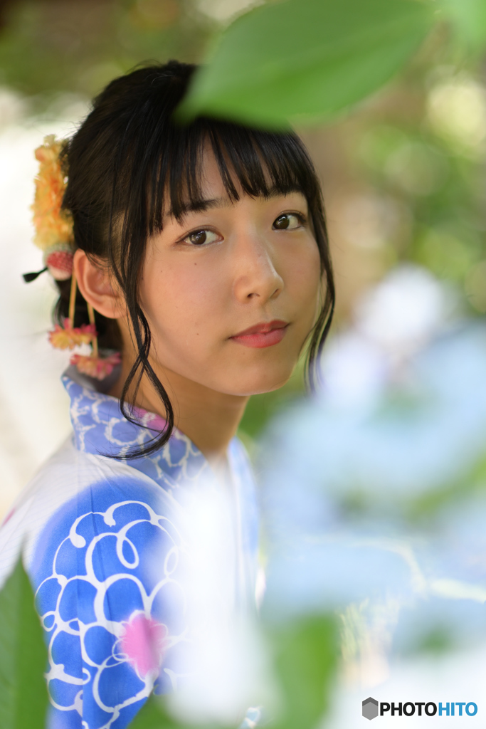 浴衣と紫陽花4