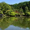 西浜からの眺め