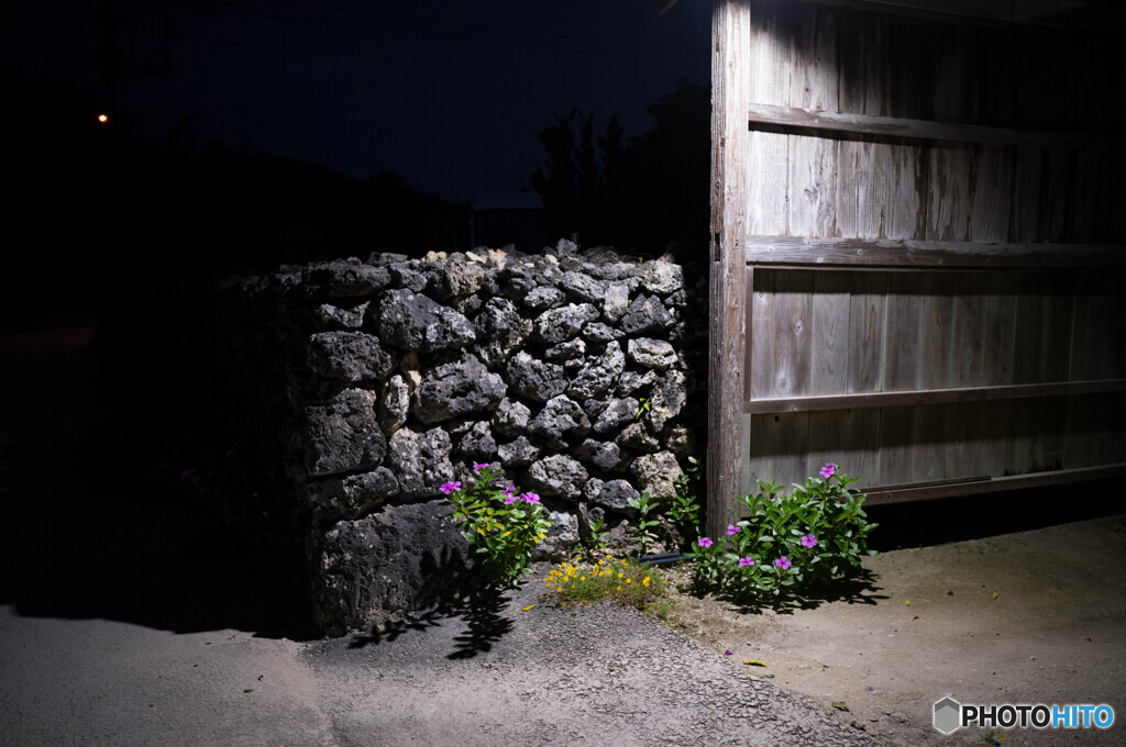 夜の花
