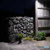 夜の花