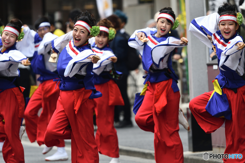 よさこい２