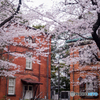 東京藝術大学赤煉瓦１号館