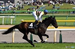 春の東京競馬５