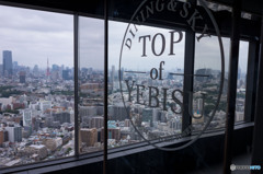 TOP of YEBISU