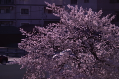 窓から