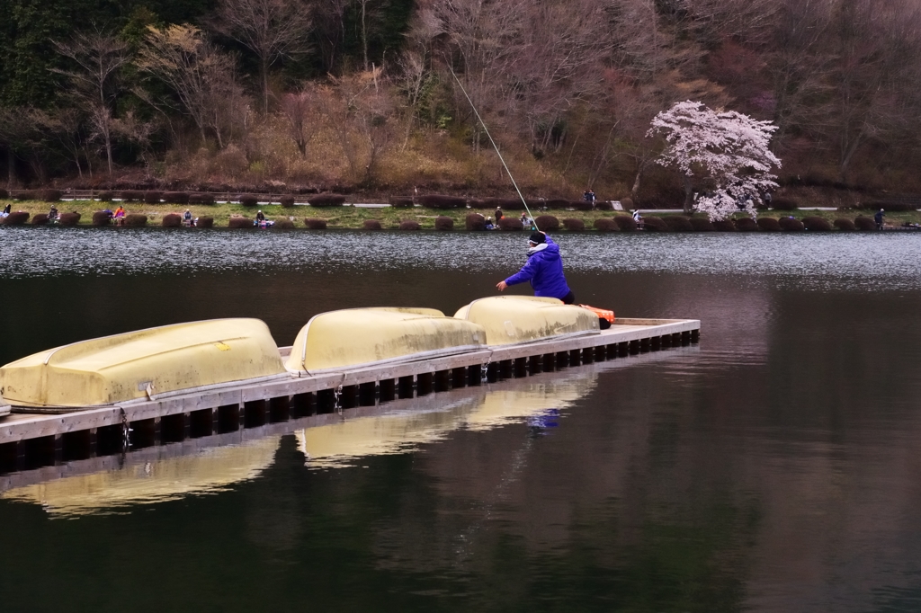 田貫湖2
