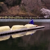 田貫湖2