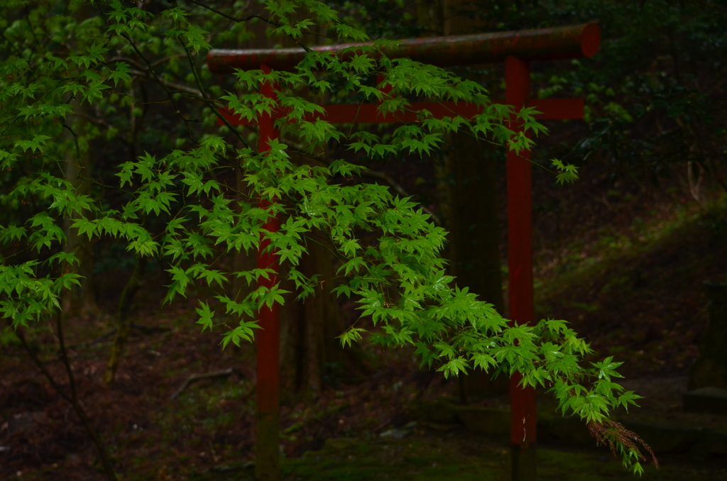 横川